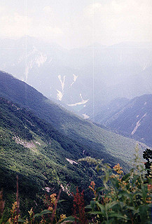 199408_139_thumb.jpg