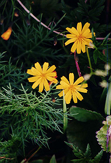 199408_150_thumb.jpg
