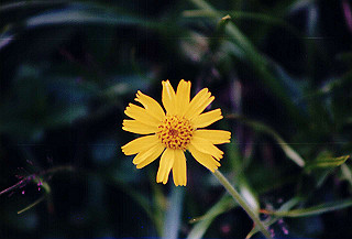 199408_151_thumb.jpg