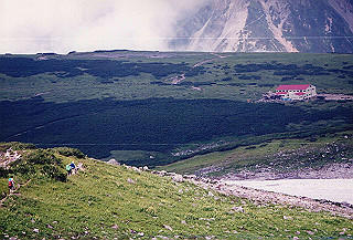 199408_153_thumb.jpg
