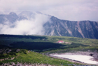 199408_154_thumb.jpg