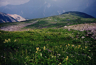 199408_155_thumb.jpg