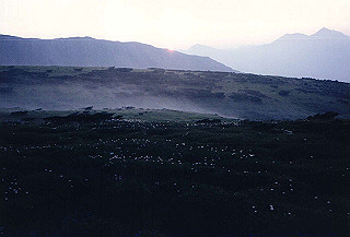 199408_159_thumb.jpg
