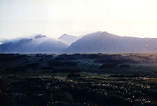 199408_164_thumb.jpg