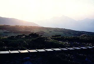199408_165_thumb.jpg