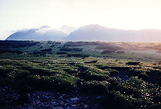 199408_166_thumb.jpg
