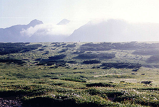 199408_167_thumb.jpg