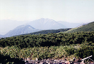 199408_172_thumb.jpg