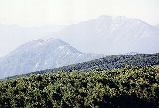 199408_173_thumb.jpg