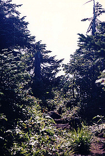 199408_178_thumb.jpg