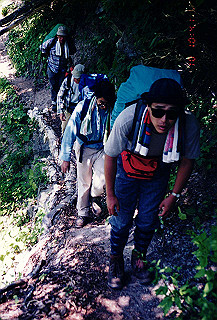 199408_191_thumb.jpg