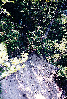 199408_205_thumb.jpg