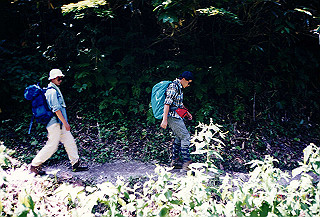 199408_206_thumb.jpg