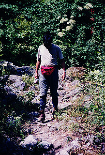199408_212_thumb.jpg