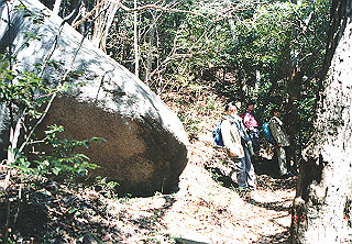 19950319_003_thumb.jpg