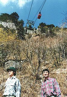 19950319_005_thumb.jpg
