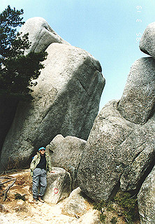19950319_006_thumb.jpg