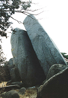 19950319_008_thumb.jpg