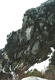 19950319_020_thumb.jpg