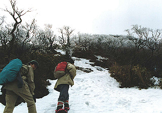 19950319_021_thumb.jpg