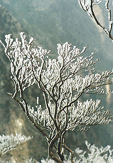 19950319_024_thumb.jpg