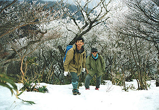 19950319_026_thumb.jpg