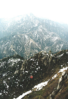 19950319_030_thumb.jpg