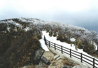 19950319_031_thumb.jpg