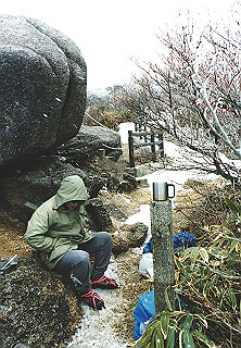 19950319_034_thumb.jpg
