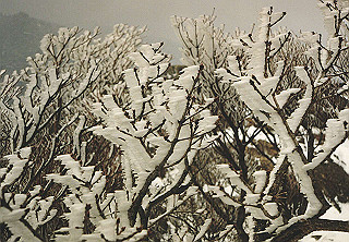 19950319_043_thumb.jpg