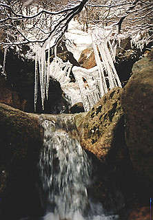19950319_045_thumb.jpg