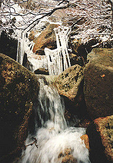 19950319_046_thumb.jpg