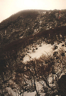 19950319_048_thumb.jpg