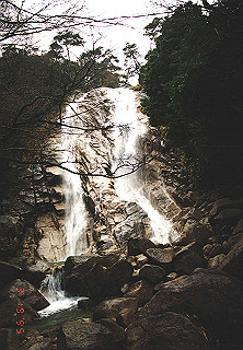 19950319_050_thumb.jpg