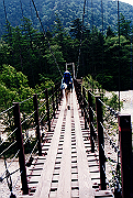 19950805_017_thumb.png