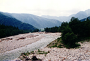 19950805_018_thumb.png