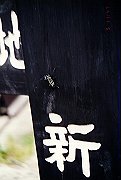 19950805_020_thumb.png