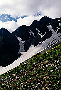 19950805_068_thumb.png