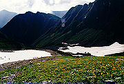 19950805_073_thumb.png