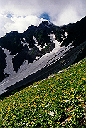 19950805_074_thumb.png
