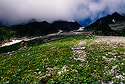 19950805_075_thumb.png