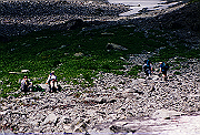 19950805_078_thumb.png