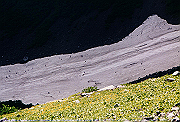 19950805_081_thumb.png