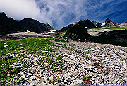 19950805_087_thumb.png