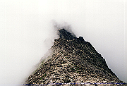 19950805_106_thumb.png