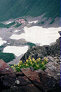 19950805_114_thumb.png