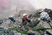 19950805_118_thumb.png