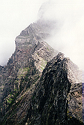 19950805_142_thumb.png