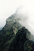 19950805_143_thumb.png