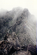 19950805_153_thumb.png